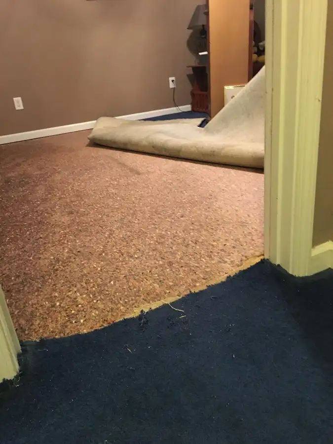 Carpet pad removal revealing water damage during Water Mitigation Services in Highlands